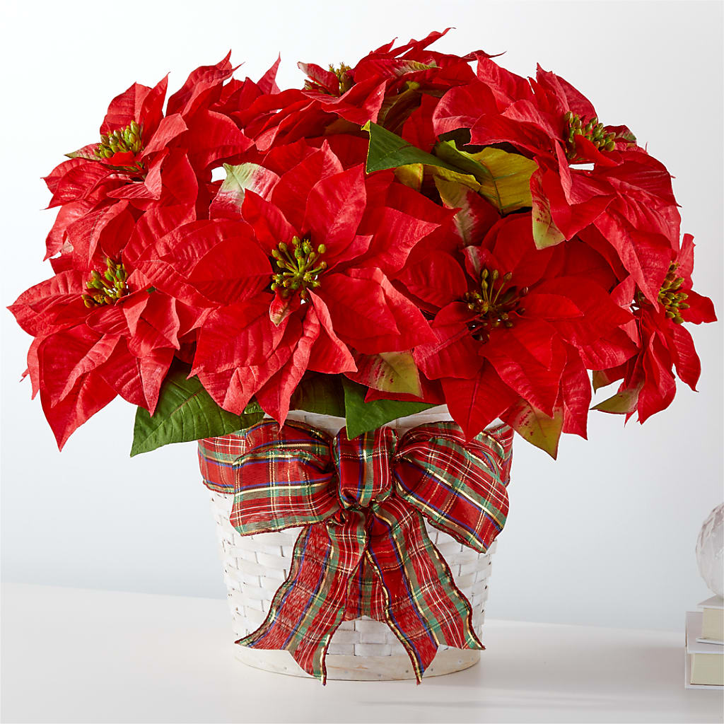 Happiest Holidays Poinsettia – Gunnels Florist Inc, Cookeville TN