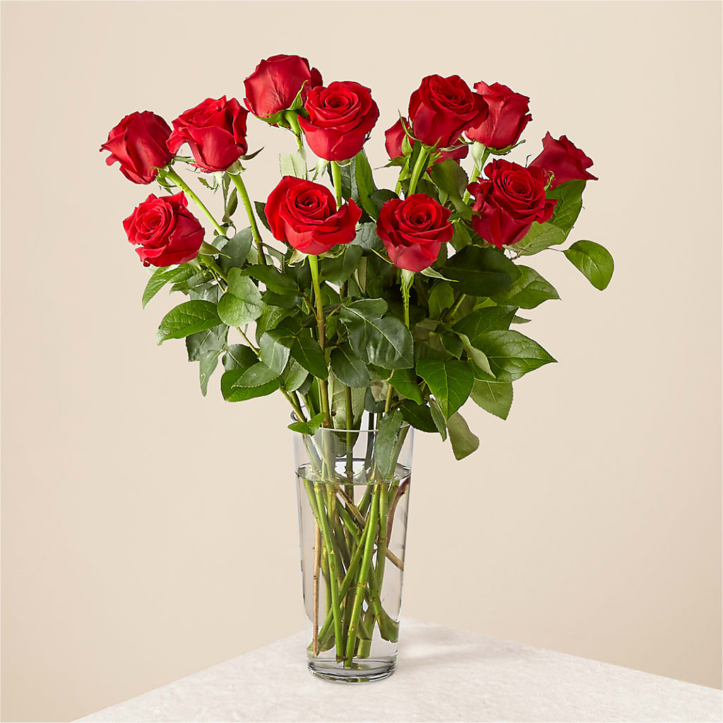 Long Stem Red Rose Bouquet – Gunnels Florist Inc, Cookeville TN