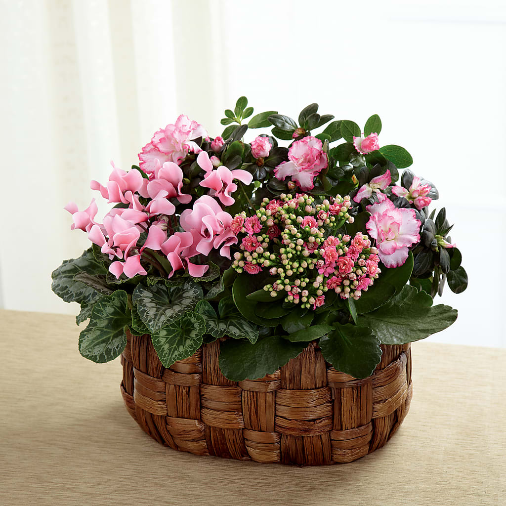 Pink Assortment – Gunnels Florist Inc, Cookeville TN