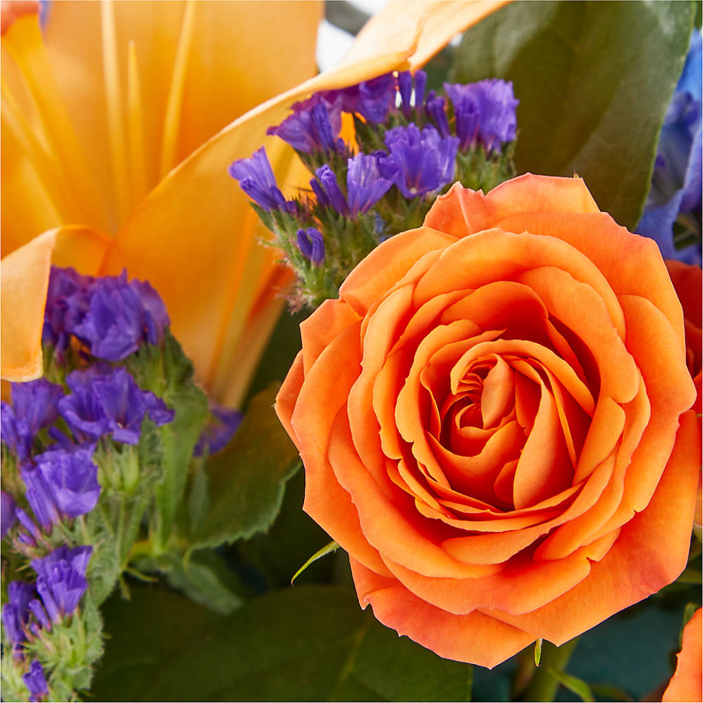 Radiant Citrus Box Bouquet – Gunnels Florist Inc, Cookeville TN