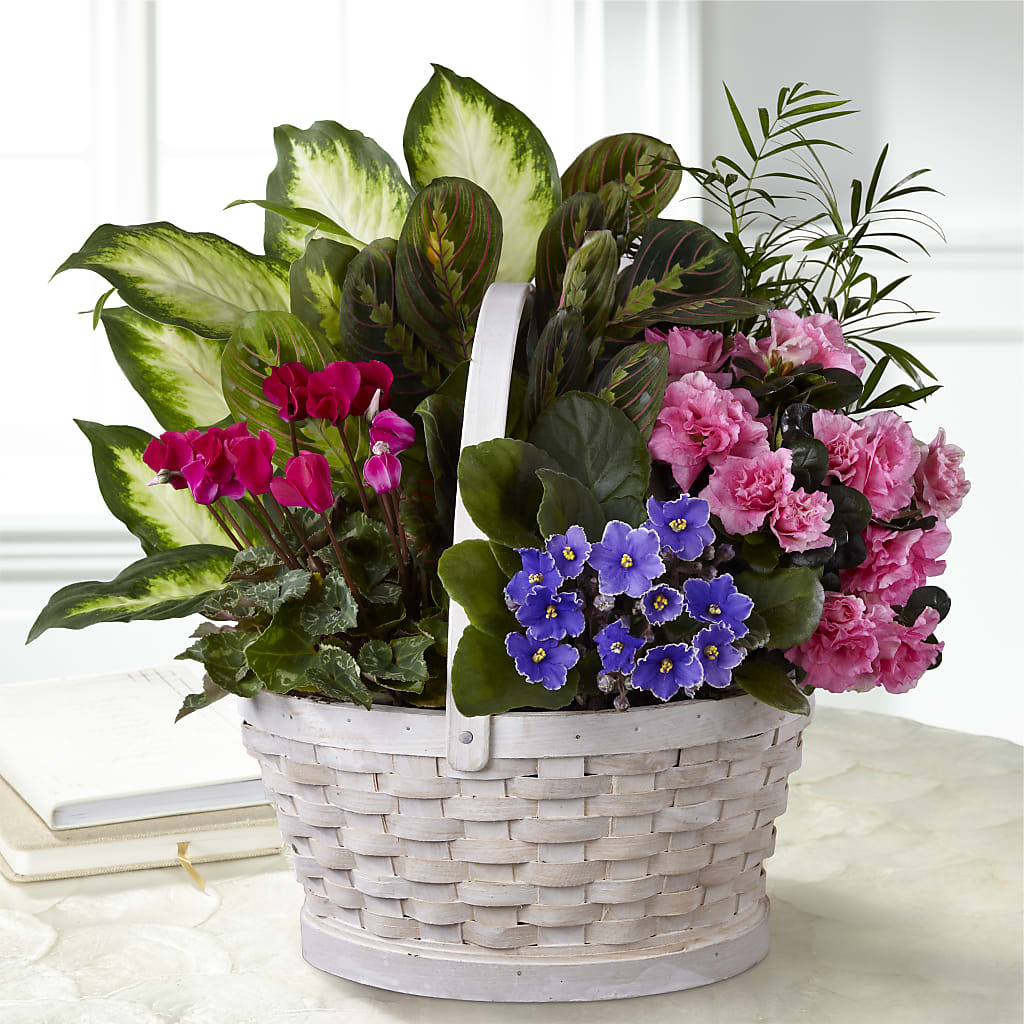 Peaceful Garden Planter – Gunnels Florist Inc, Cookeville TN
