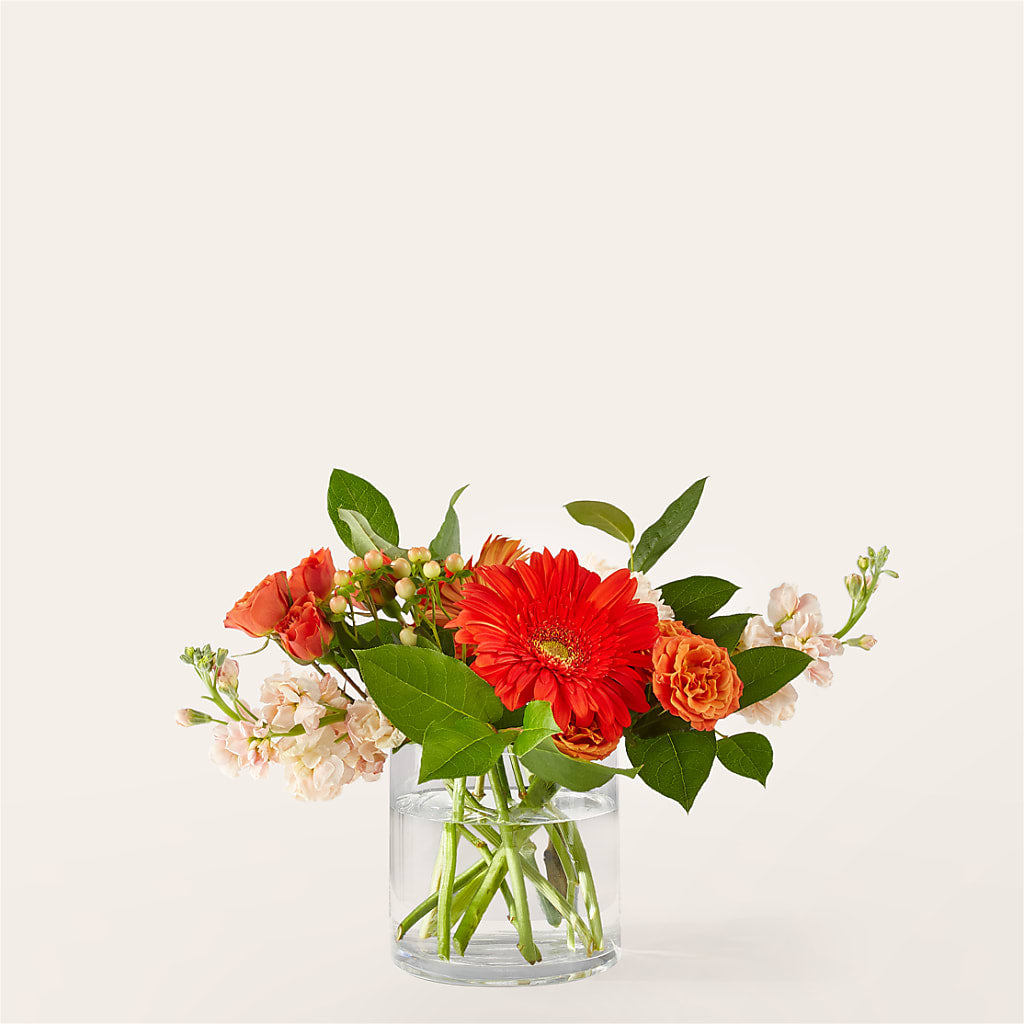 Paloma Please Bouquet – Gunnels Florist Inc, Cookeville TN
