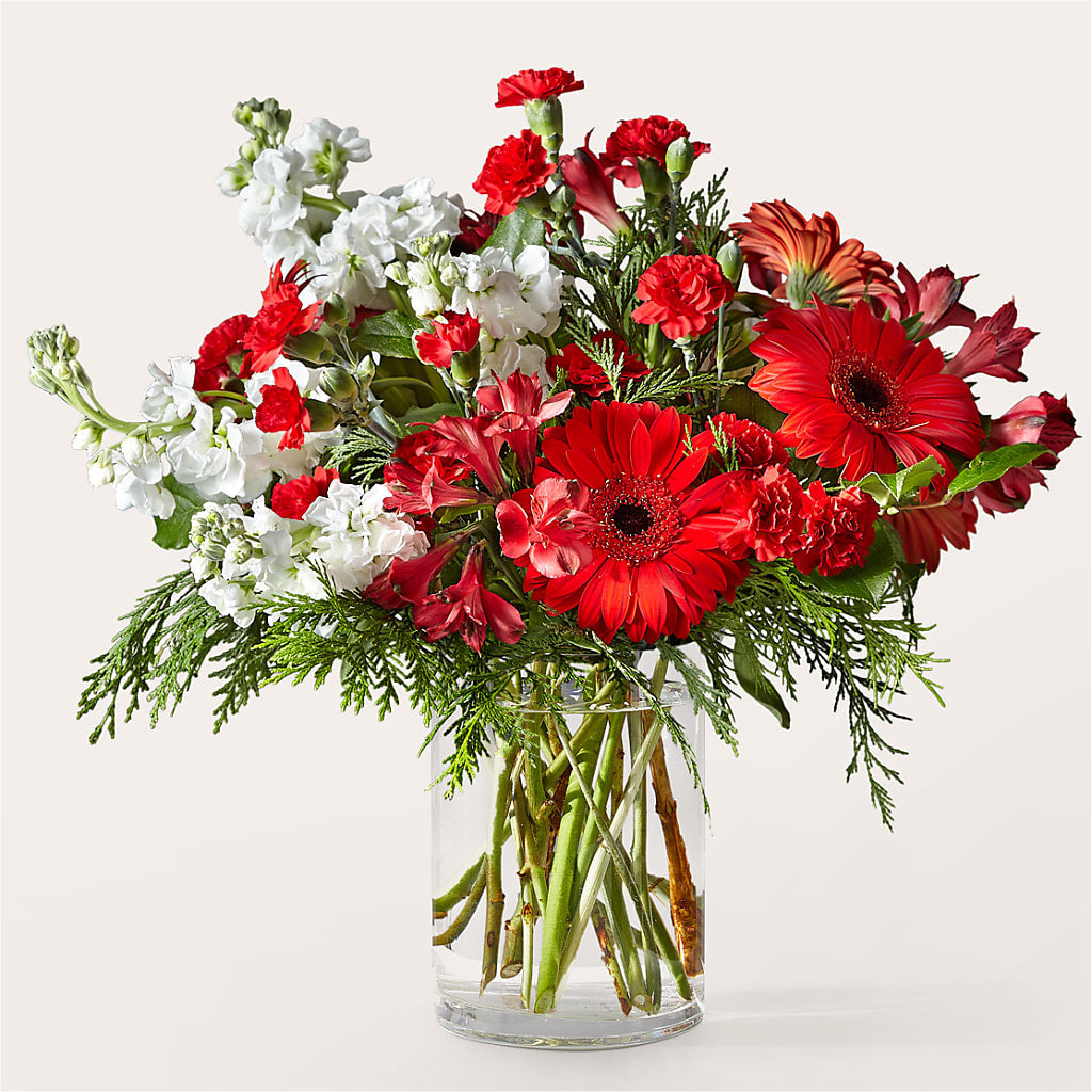 Holidaisy Bouquet – Gunnels Florist Inc, Cookeville TN