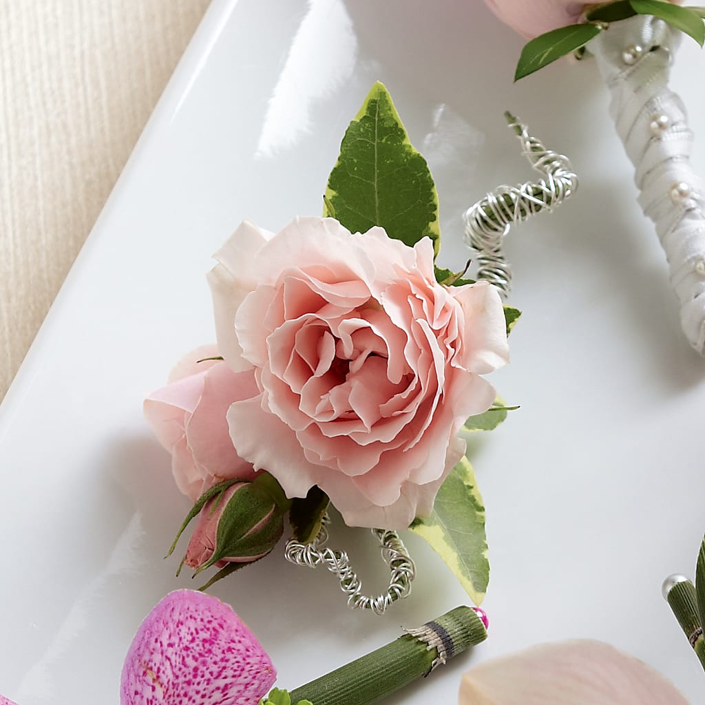 Pink Spray Rose Boutonniere – Gunnels Florist Inc, Cookeville TN