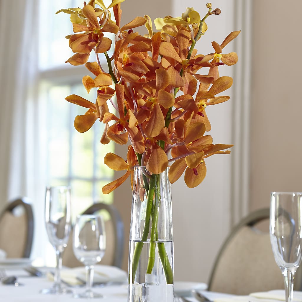 Orange Mokara Bud Vase – Gunnels Florist Inc, Cookeville TN