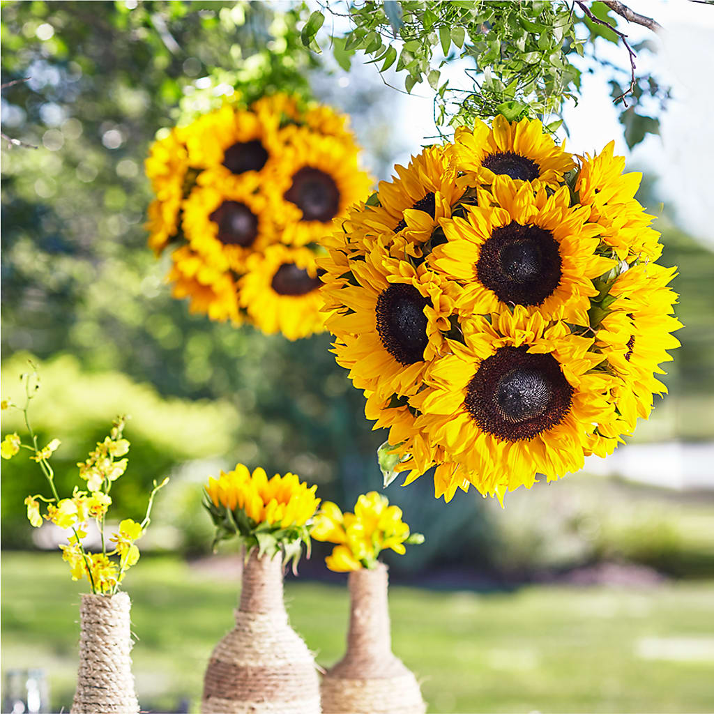 Sublime Garden Hanging Arrangement – Gunnels Florist Inc, Cookeville TN