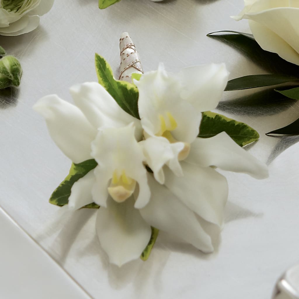 White Mini Cymbidium Boutonniere – Gunnels Florist Inc, Cookeville TN