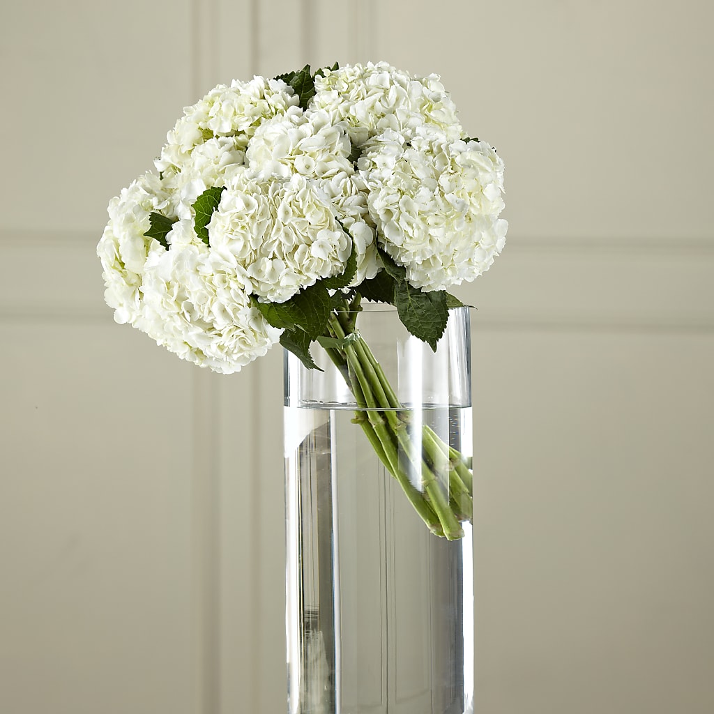 White Hydrangea Hand-Tied Bouquet – Gunnels Florist Inc, Cookeville TN