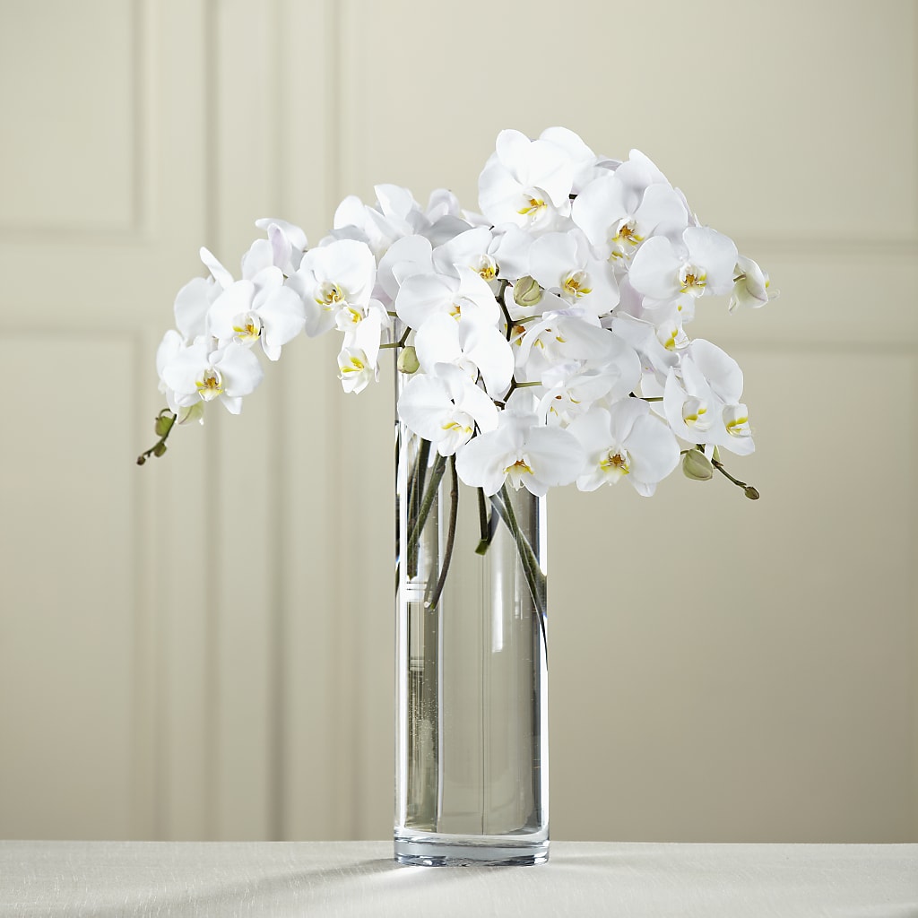 White Phalaenopsis Bouquet – Gunnels Florist Inc, Cookeville TN