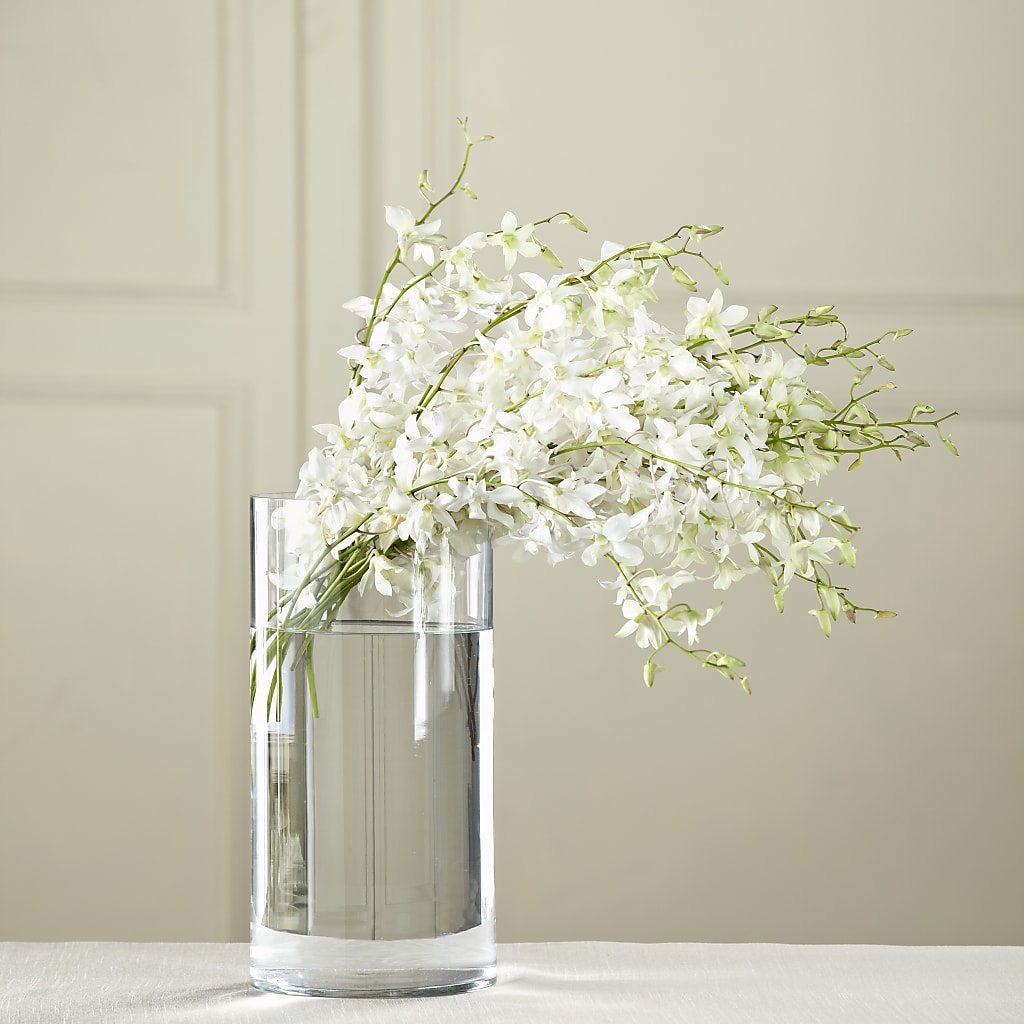 White Dendrobium Bouquet – Gunnels Florist Inc, Cookeville TN