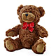 Adorable Plush Bear –  Gunnels Florist Inc, Cookeville TN