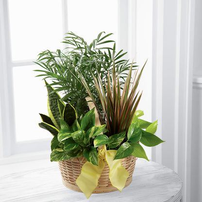 French Garden –  Gunnels Florist Inc, Cookeville TN
