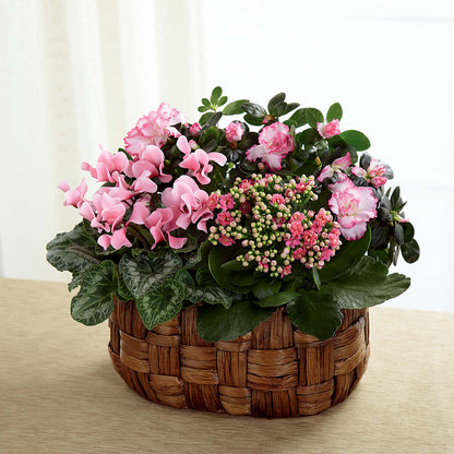 Pink Assortment –  Gunnels Florist Inc, Cookeville TN