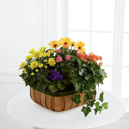 Gentle Blossoms Basket –  Gunnels Florist Inc, Cookeville TN
