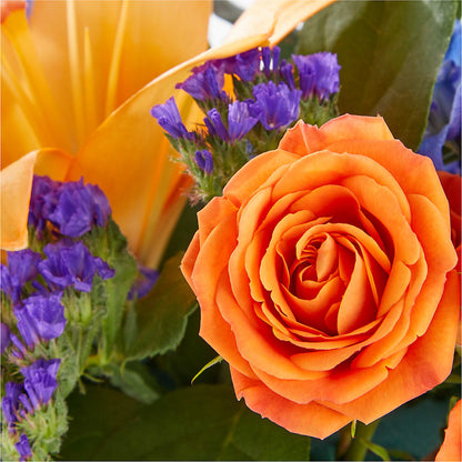Radiant Citrus Box Bouquet –  Gunnels Florist Inc, Cookeville TN