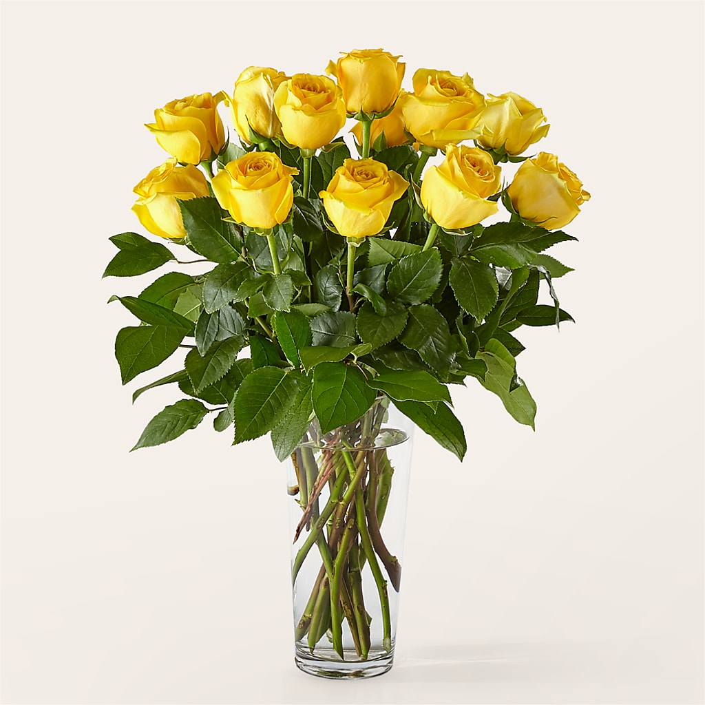 Long Stem Yellow Rose Bouquet –  Gunnels Florist Inc, Cookeville TN