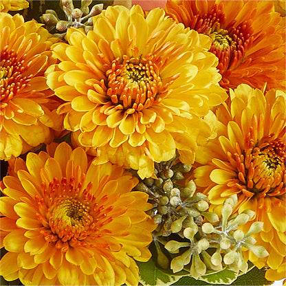Peachy Pumpkin –  Gunnels Florist Inc, Cookeville TN