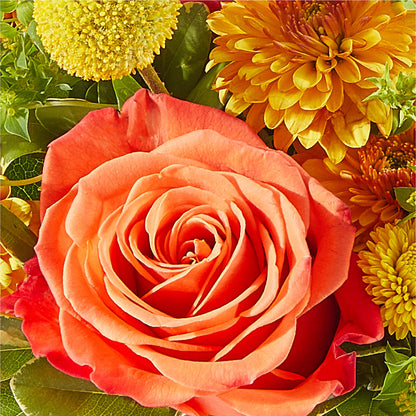 Gourdgeous Pumpkin –  Gunnels Florist Inc, Cookeville TN