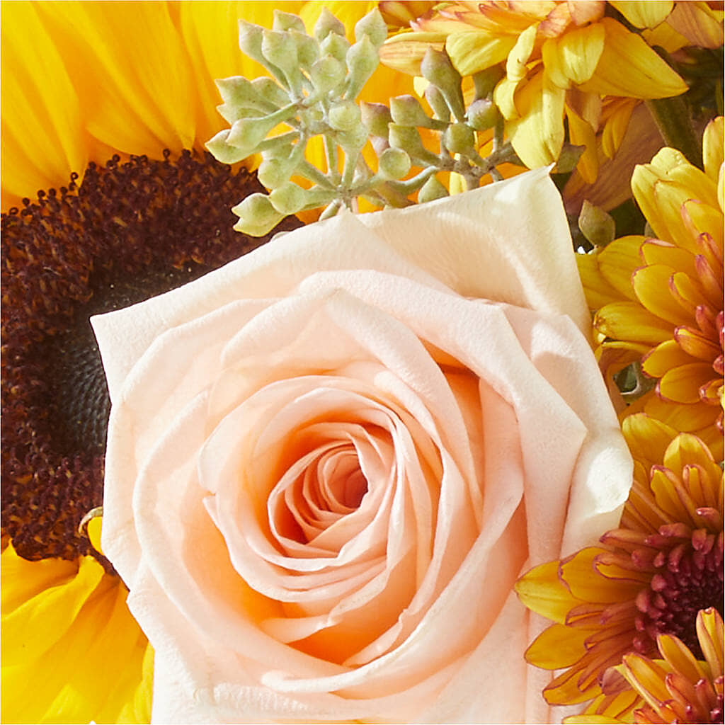 Pumpkin to Talk About Bouquet –  Gunnels Florist Inc, Cookeville TN