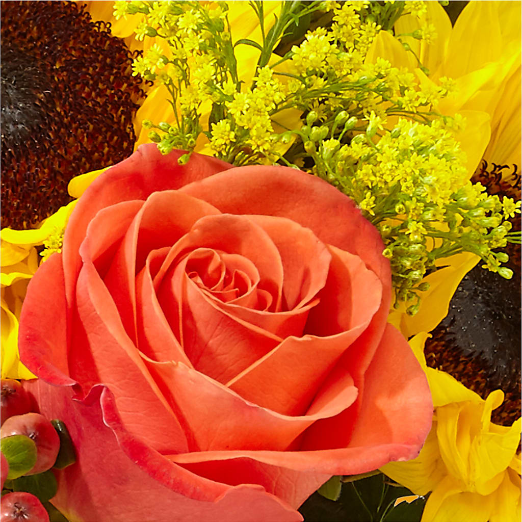 Pick of the Patch Pumpkin Bouquet –  Gunnels Florist Inc, Cookeville TN