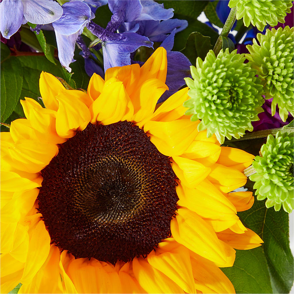 Catching Rays Bouquet –  Gunnels Florist Inc, Cookeville TN