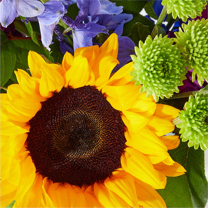 Catching Rays Bouquet –  Gunnels Florist Inc, Cookeville TN