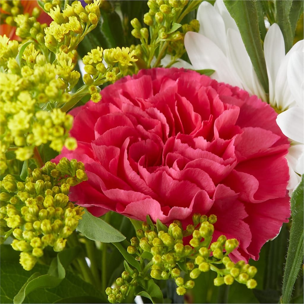 Oopsie Daisy Bouquet –  Gunnels Florist Inc, Cookeville TN