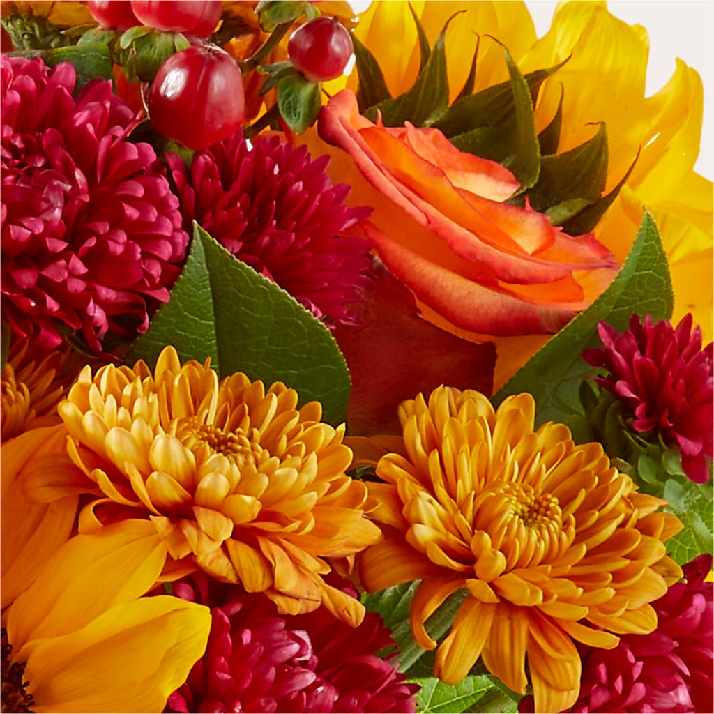 Sweater Season - A Florist Original –  Gunnels Florist Inc, Cookeville TN