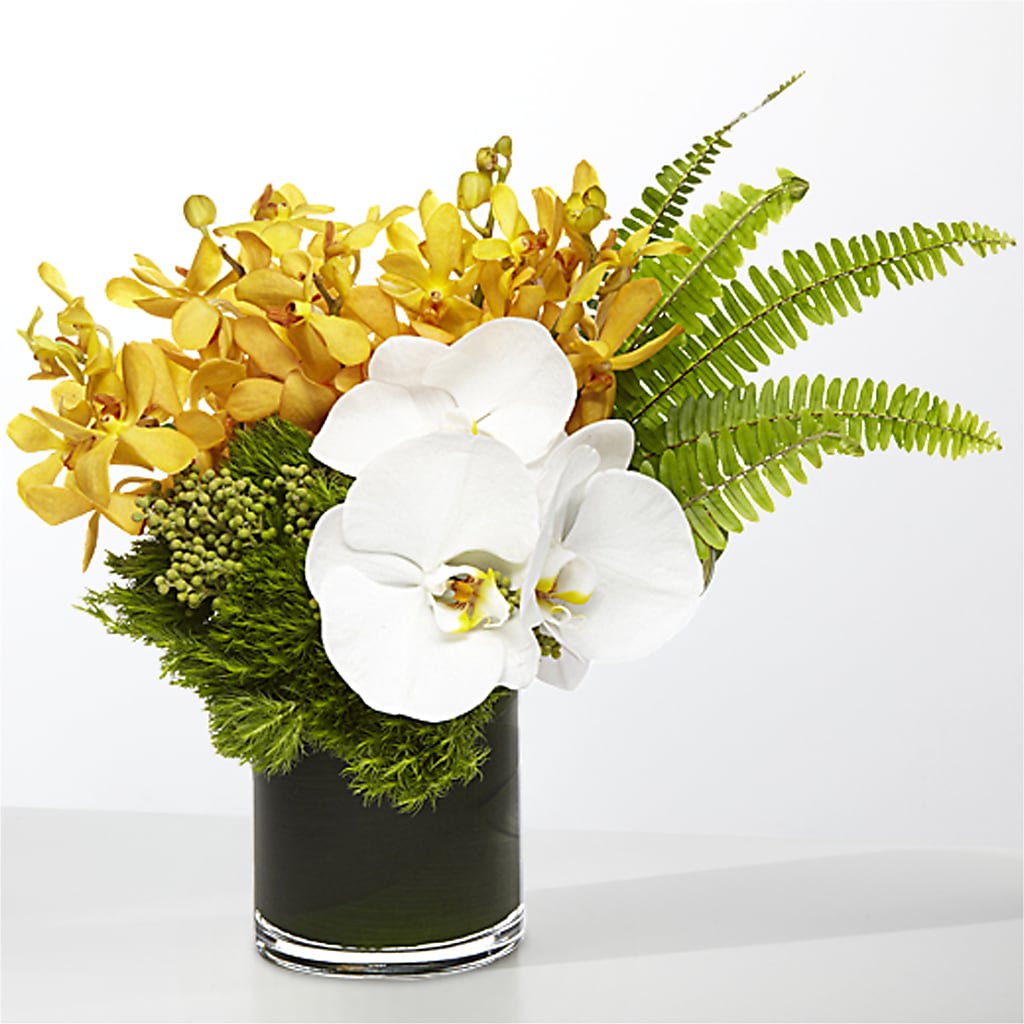The Tropics –  Gunnels Florist Inc, Cookeville TN