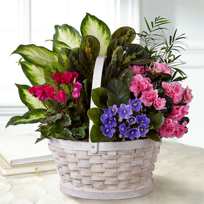 Peaceful Garden Planter –  Gunnels Florist Inc, Cookeville TN