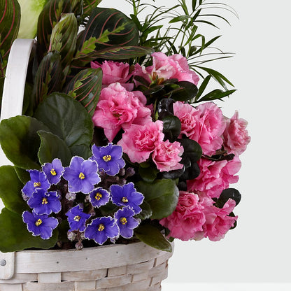 Peaceful Garden Planter –  Gunnels Florist Inc, Cookeville TN