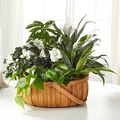 Serene Dishgarden –  Gunnels Florist Inc, Cookeville TN