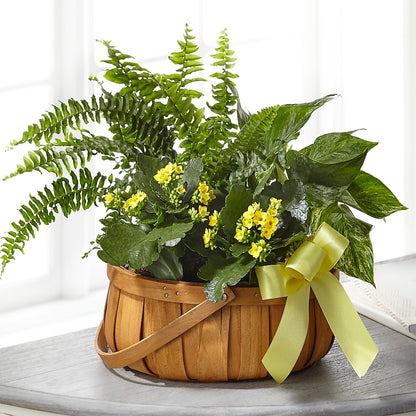 Always Dear Dishgarden –  Gunnels Florist Inc, Cookeville TN