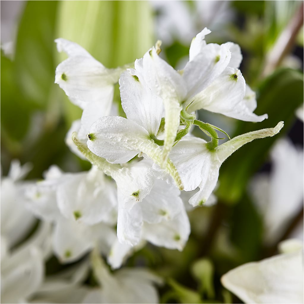 Classic Ivory – A Florist Original –  Gunnels Florist Inc, Cookeville TN