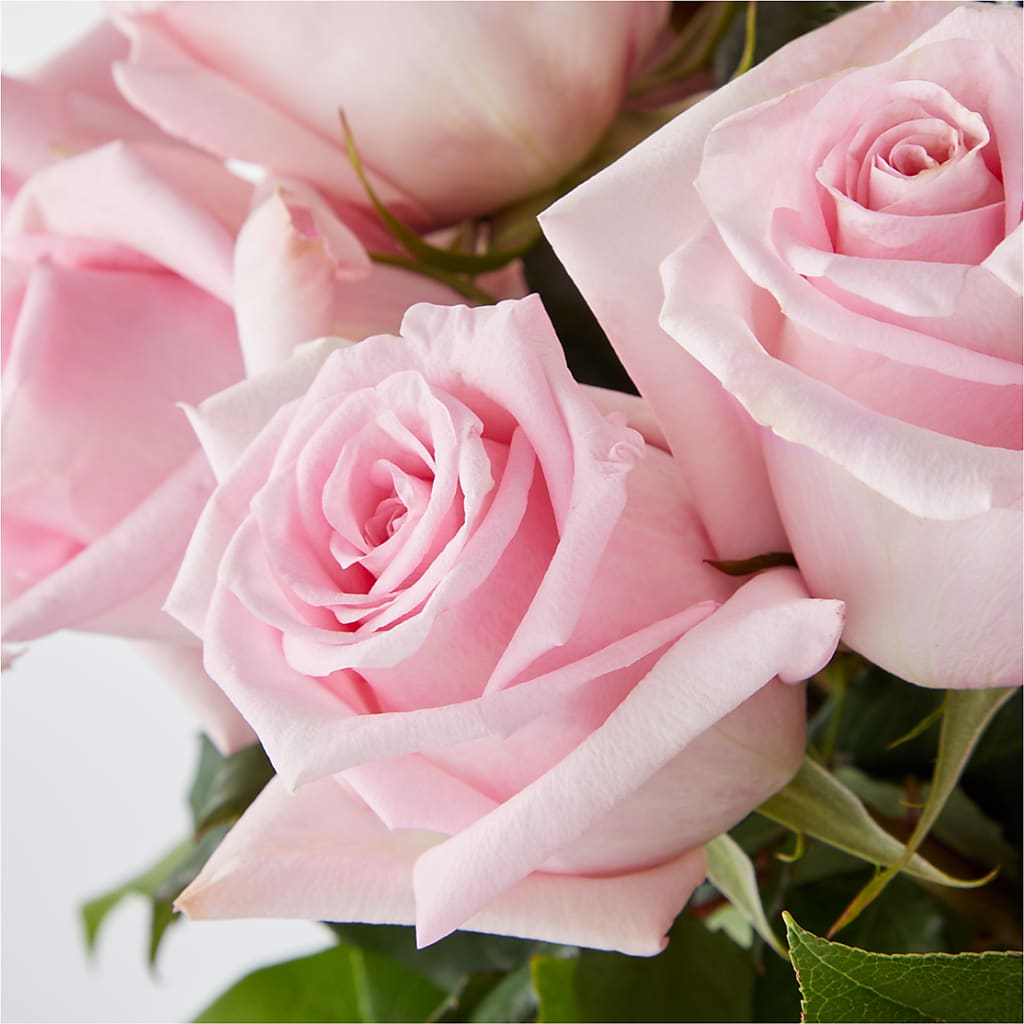 Picture Perfect Pink Rose Bouquet –  Gunnels Florist Inc, Cookeville TN