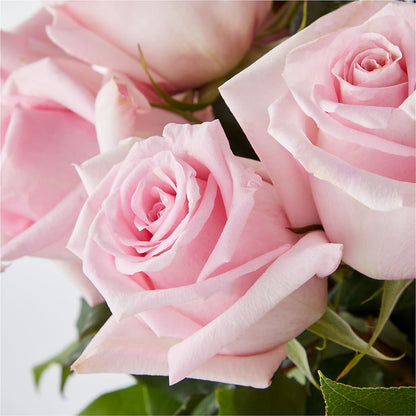Picture Perfect Pink Rose Bouquet –  Gunnels Florist Inc, Cookeville TN