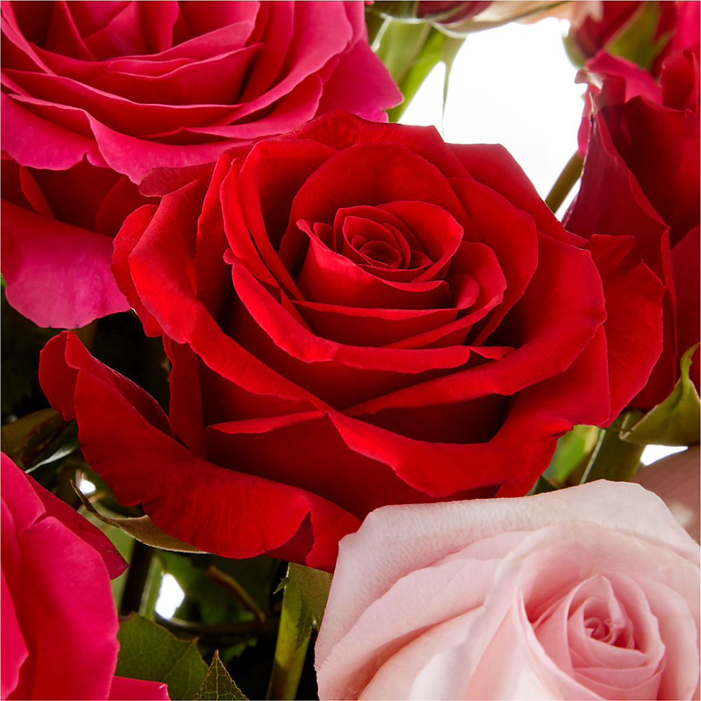Love Notes Rose Bouquet –  Gunnels Florist Inc, Cookeville TN
