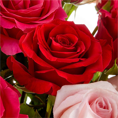 Love Notes Rose Bouquet –  Gunnels Florist Inc, Cookeville TN