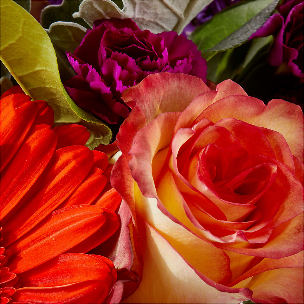 Sangria Bouquet –  Gunnels Florist Inc, Cookeville TN