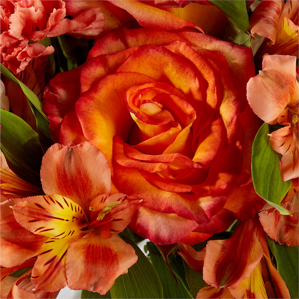 Apricot Glow Bouquet –  Gunnels Florist Inc, Cookeville TN
