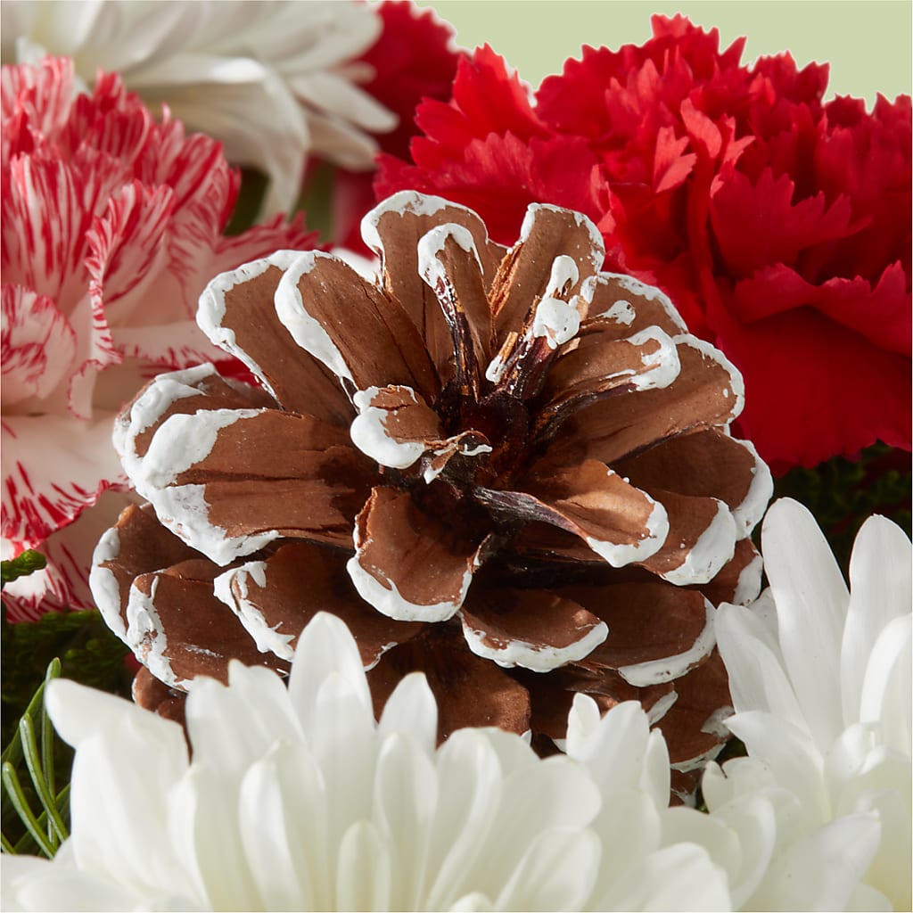 Candy Cane Lane Bouquet –  Gunnels Florist Inc, Cookeville TN