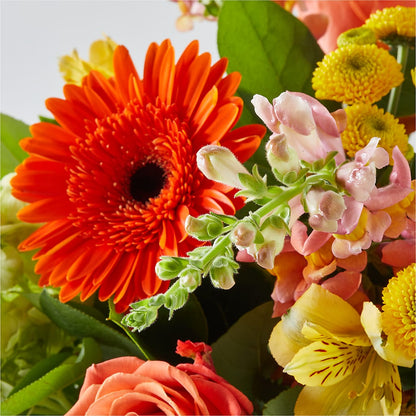 Autumn Sunshine Bouquet –  Gunnels Florist Inc, Cookeville TN