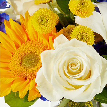 Stargazing Bouquet –  Gunnels Florist Inc, Cookeville TN