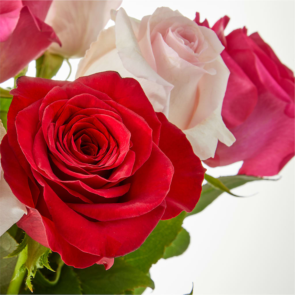 Charming Rose Bouquet –  Gunnels Florist Inc, Cookeville TN