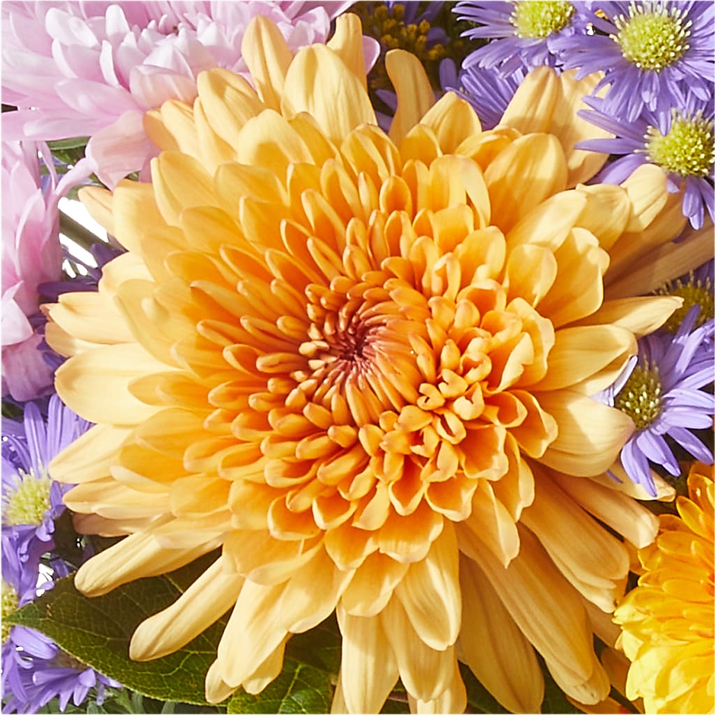 Countryside Bouquet –  Gunnels Florist Inc, Cookeville TN