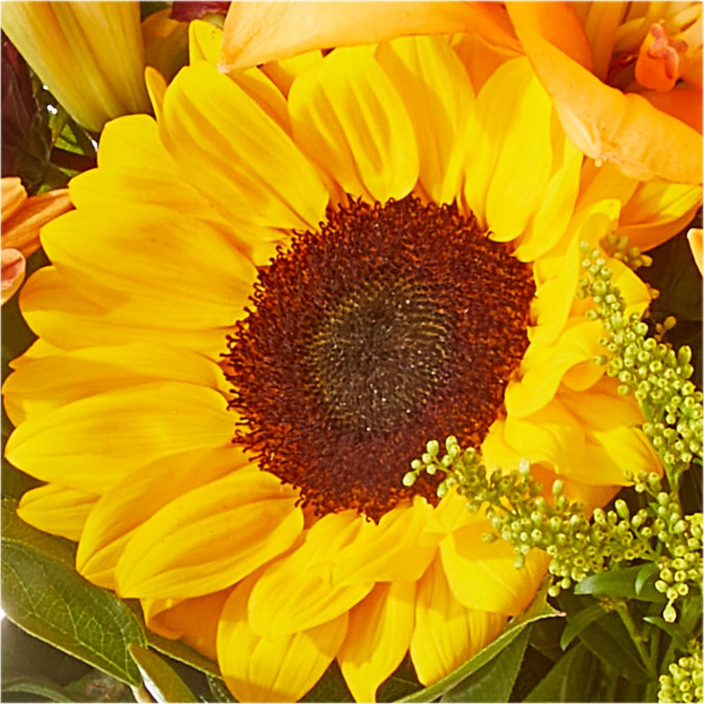 Seasons Change Bouquet –  Gunnels Florist Inc, Cookeville TN