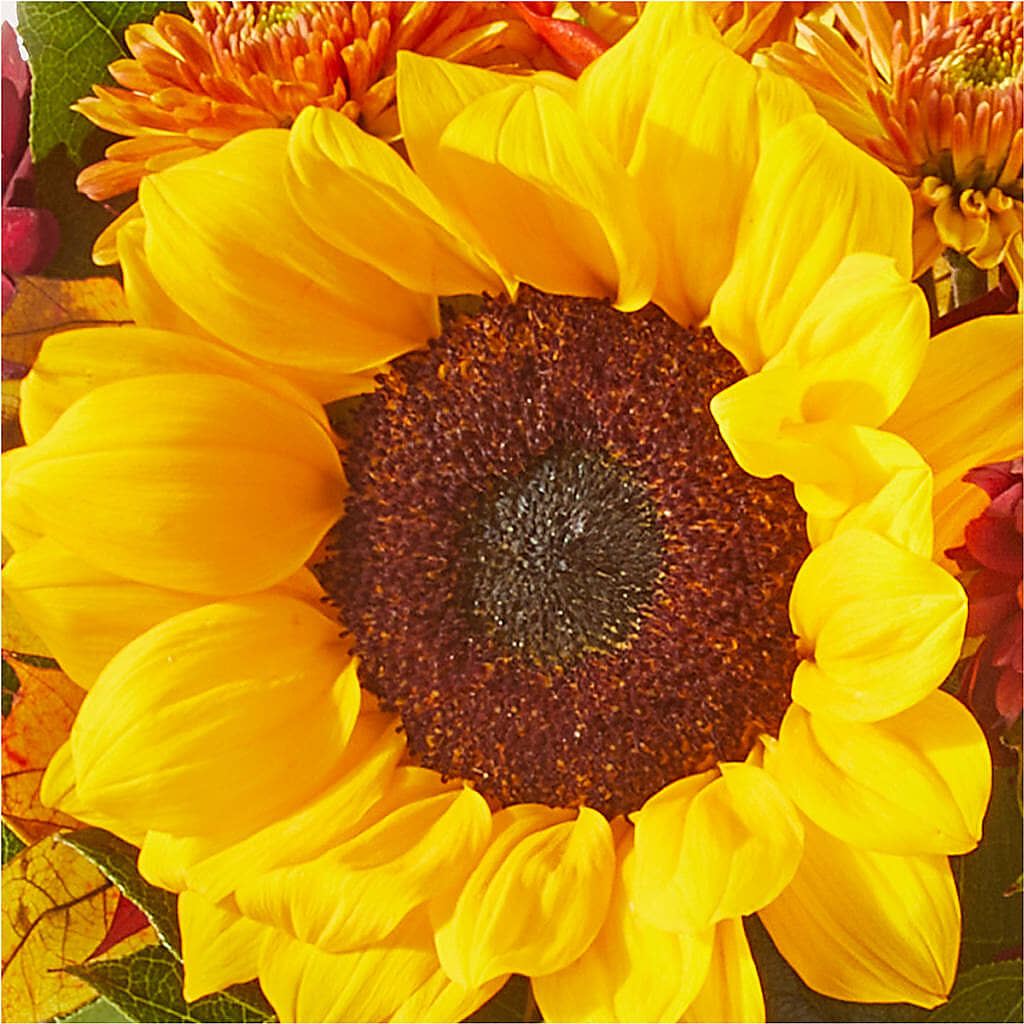 Sunny Side Bouquet –  Gunnels Florist Inc, Cookeville TN