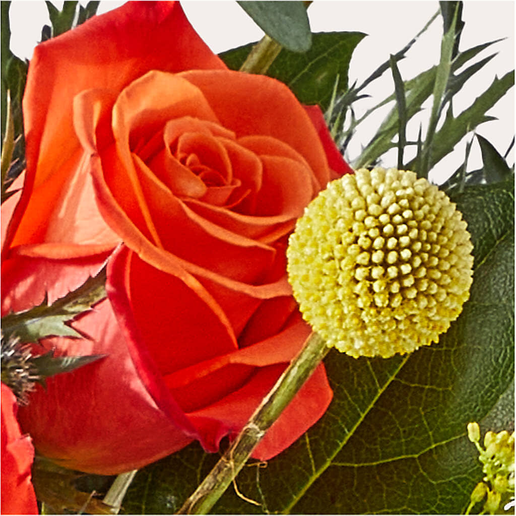 Disco Bouquet –  Gunnels Florist Inc, Cookeville TN