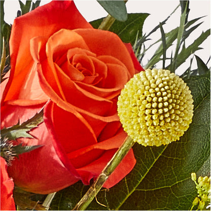 Disco Bouquet –  Gunnels Florist Inc, Cookeville TN