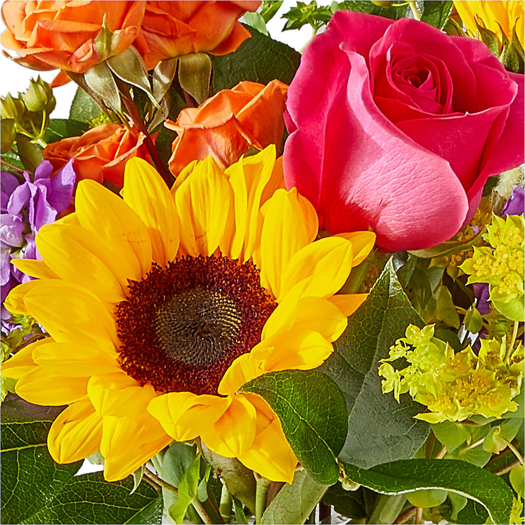 Vibrant Greetings Bouquet –  Gunnels Florist Inc, Cookeville TN